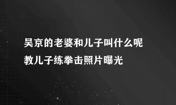 吴京的老婆和儿子叫什么呢 教儿子练拳击照片曝光