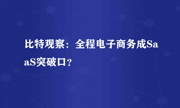 比特观察：全程电子商务成SaaS突破口？