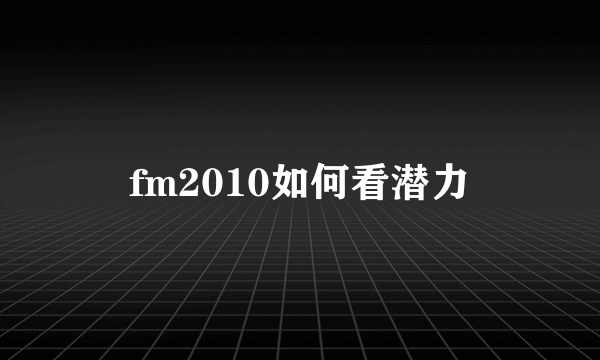 fm2010如何看潜力