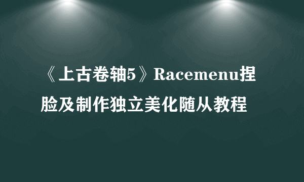 《上古卷轴5》Racemenu捏脸及制作独立美化随从教程