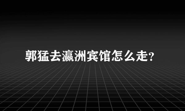 郭猛去瀛洲宾馆怎么走？