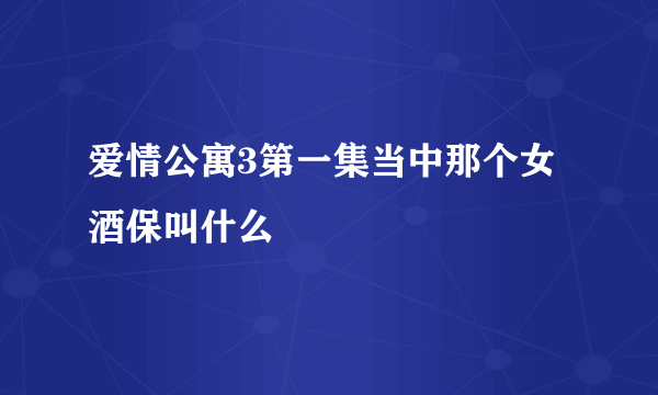 爱情公寓3第一集当中那个女酒保叫什么