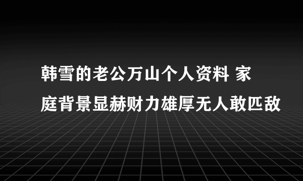 韩雪的老公万山个人资料 家庭背景显赫财力雄厚无人敢匹敌