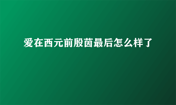 爱在西元前殷茵最后怎么样了