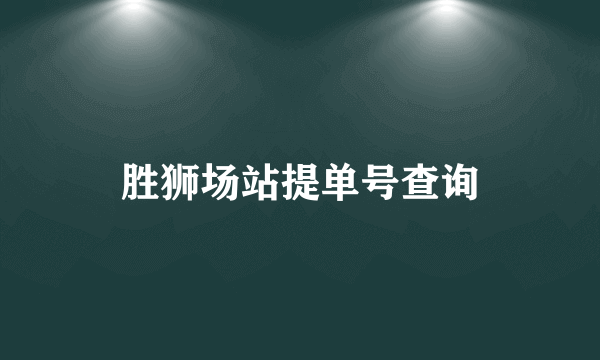 胜狮场站提单号查询