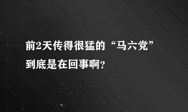 前2天传得很猛的“马六党”到底是在回事啊？