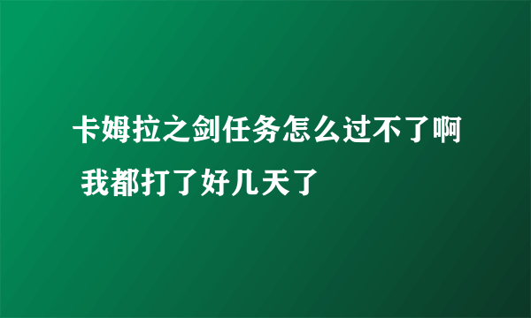 卡姆拉之剑任务怎么过不了啊 我都打了好几天了