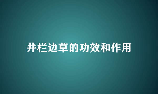 井栏边草的功效和作用