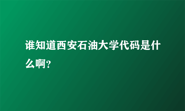 谁知道西安石油大学代码是什么啊？