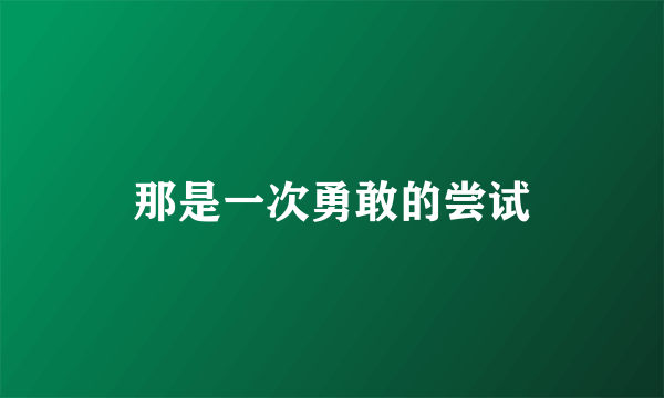 那是一次勇敢的尝试