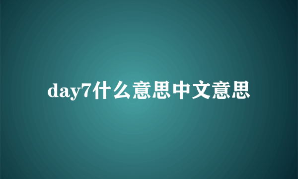 day7什么意思中文意思