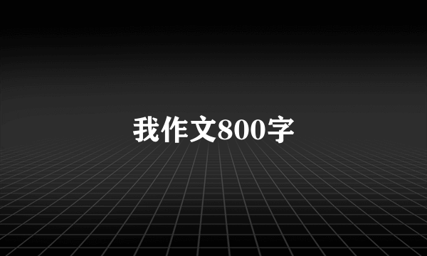 我作文800字