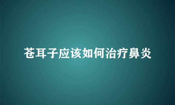 苍耳子应该如何治疗鼻炎