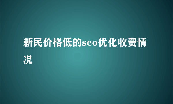 新民价格低的seo优化收费情况