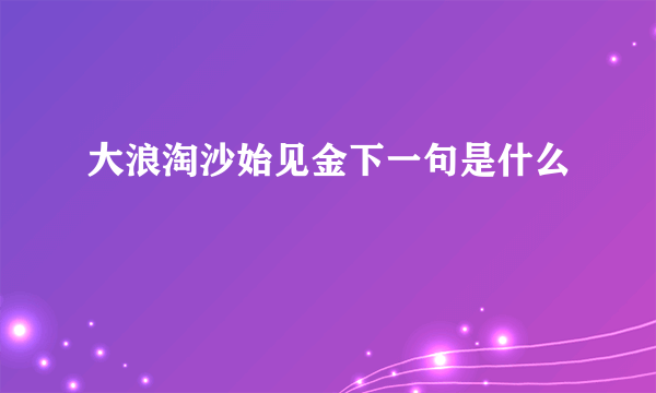 大浪淘沙始见金下一句是什么