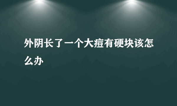 外阴长了一个大痘有硬块该怎么办