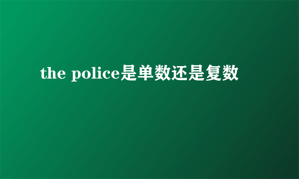 the police是单数还是复数