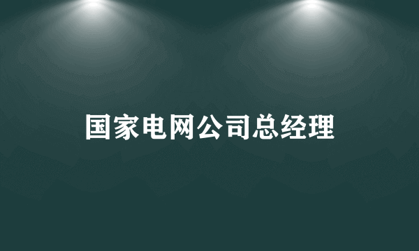 国家电网公司总经理