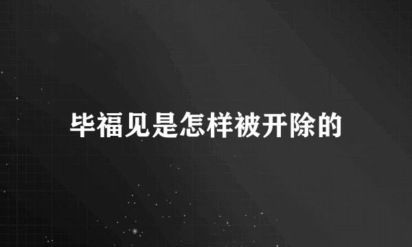 毕福见是怎样被开除的