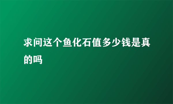 求问这个鱼化石值多少钱是真的吗