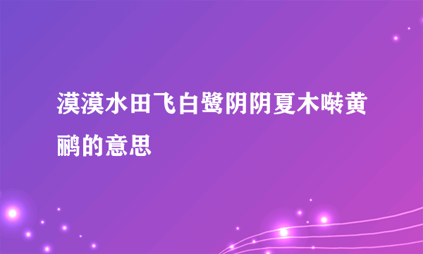 漠漠水田飞白鹭阴阴夏木啭黄鹂的意思