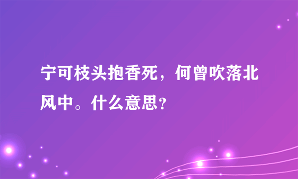 宁可枝头抱香死，何曾吹落北风中。什么意思？