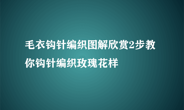 毛衣钩针编织图解欣赏2步教你钩针编织玫瑰花样