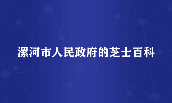 漯河市人民政府的芝士百科