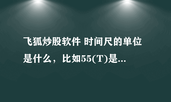 飞狐炒股软件 时间尺的单位是什么，比如55(T)是什么意思？