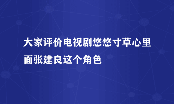 大家评价电视剧悠悠寸草心里面张建良这个角色