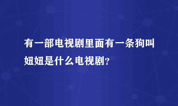 有一部电视剧里面有一条狗叫妞妞是什么电视剧？