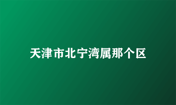 天津市北宁湾属那个区