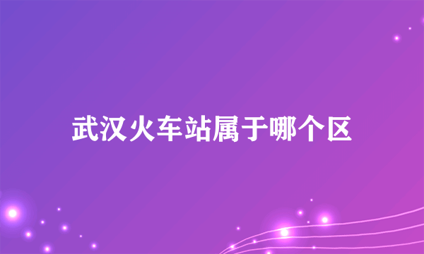 武汉火车站属于哪个区