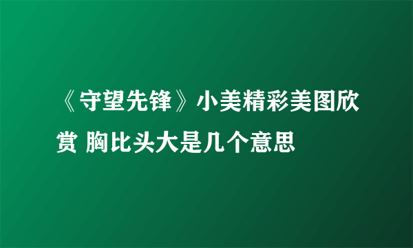 《守望先锋》小美精彩美图欣赏 胸比头大是几个意思