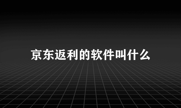 京东返利的软件叫什么