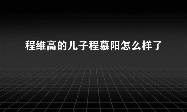 程维高的儿子程慕阳怎么样了