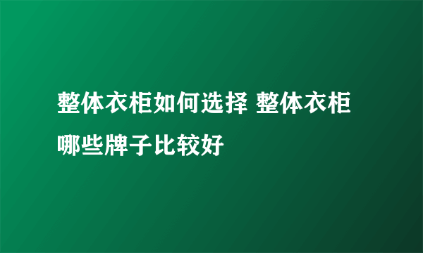 整体衣柜如何选择 整体衣柜哪些牌子比较好