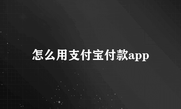 怎么用支付宝付款app