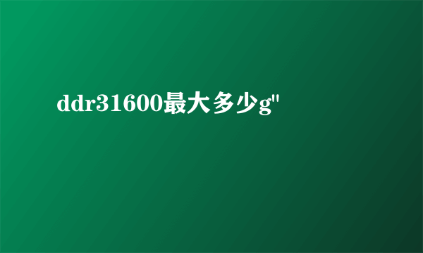 ddr31600最大多少g