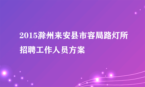 2015滁州来安县市容局路灯所招聘工作人员方案