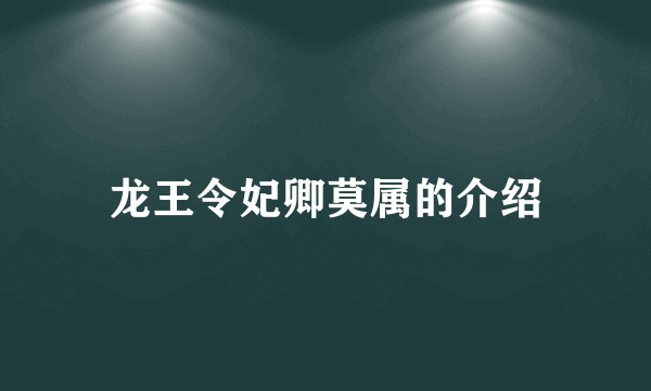 龙王令妃卿莫属的介绍