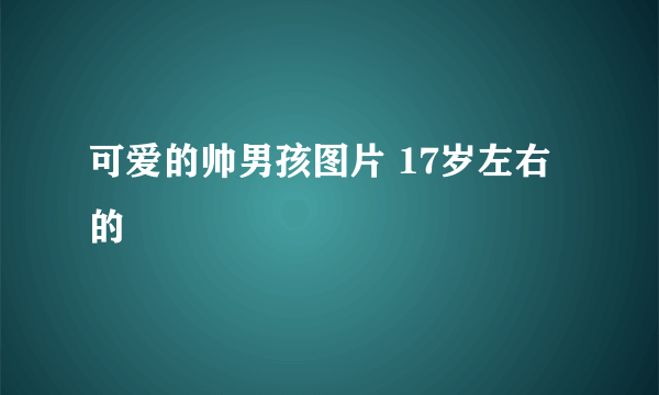 可爱的帅男孩图片 17岁左右的