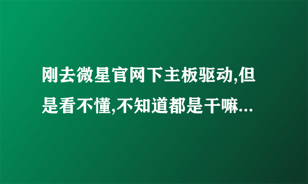 刚去微星官网下主板驱动,但是看不懂,不知道都是干嘛的,有大神帮我看下都是干嘛的,哪儿些要装