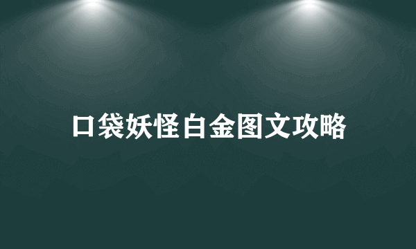 口袋妖怪白金图文攻略