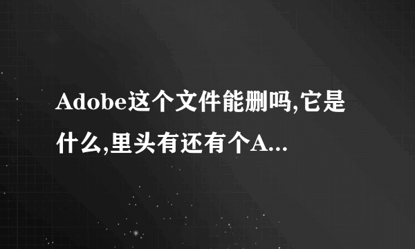 Adobe这个文件能删吗,它是什么,里头有还有个Acrobat 7.0的文件夹