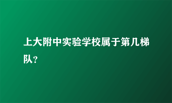 上大附中实验学校属于第几梯队？