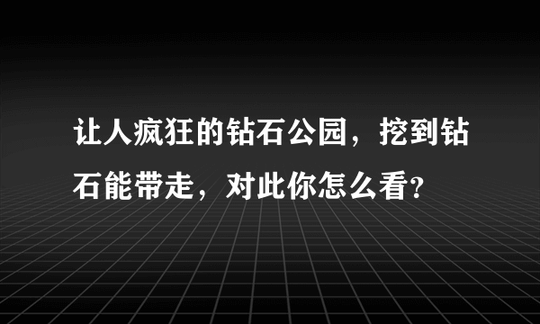 让人疯狂的钻石公园，挖到钻石能带走，对此你怎么看？