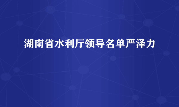 湖南省水利厅领导名单严泽力