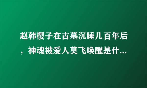 赵韩樱子在古墓沉睡几百年后，神魂被爱人莫飞唤醒是什么电视剧？