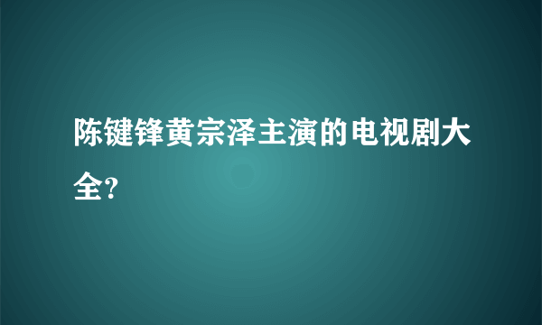 陈键锋黄宗泽主演的电视剧大全？